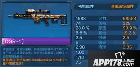 全民突击DSR—1