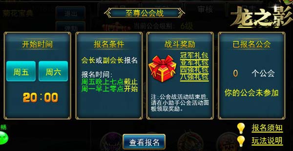 《龙之影》公会会长大揭秘 当爹当妈又操心