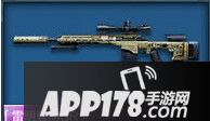 雷明登MSR