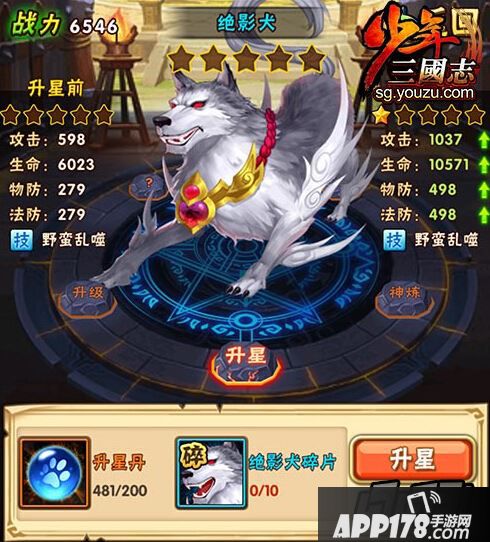 战宠培养
