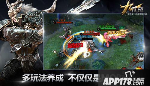 九龙战cj 