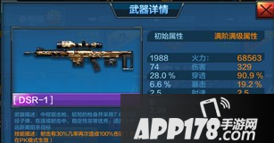 全民突击紫色DSR-1