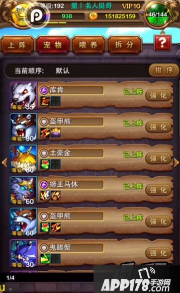 我叫MT宠物攻略