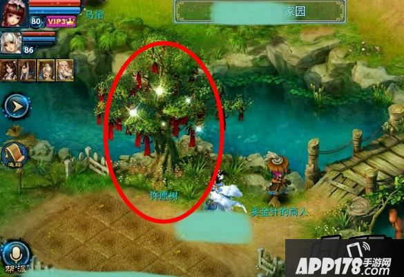 神雕侠侣许愿树