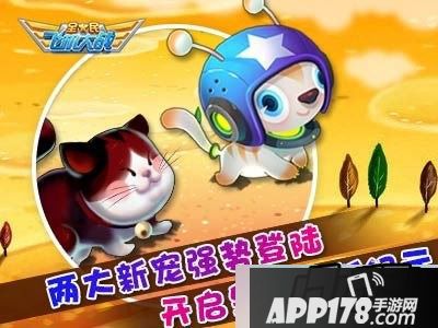 全民飞机大战皇冠宠物