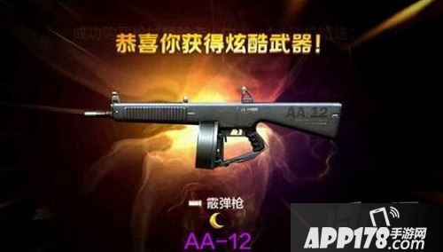 全民突击近战之王AA12