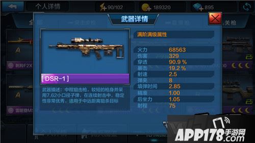 全民突击DSR-1