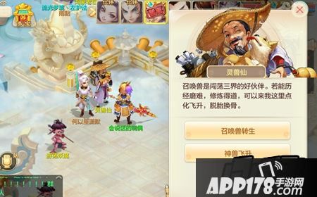 宠物转生介绍
