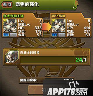 智龙迷城国服宠物强化