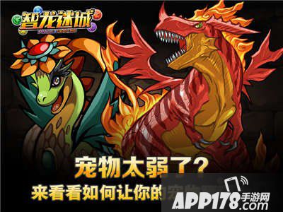 智龙迷城国服宠物培养攻略