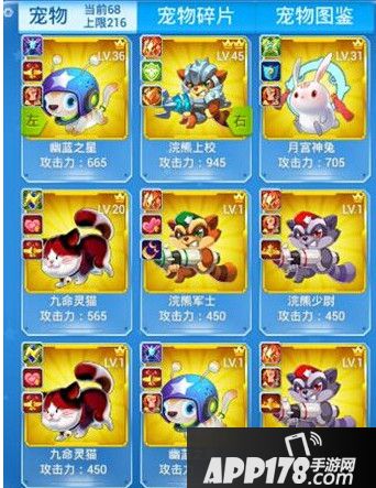 宠物