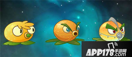 植物大战僵尸全明星柚子系植物