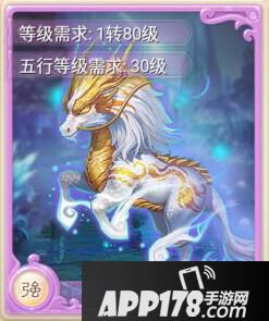 大话西游手游变身卡