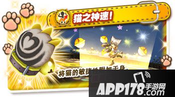 吸引眼球的小可爱/梅洛迪亚