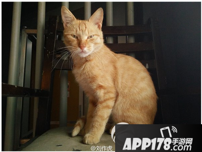 一加新品发布会直播 一加手机x10.29新品发布会视频直播地址2