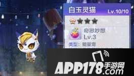 天天酷跑3d白玉灵猫