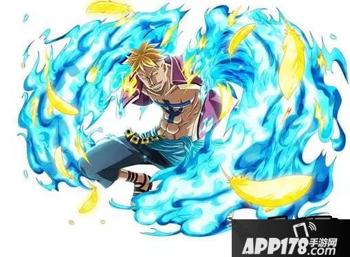 航海王启航马尔高