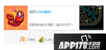 熊猫tv猫币多少钱 熊猫tv猫币怎么用 熊猫tv猫币有什么用4