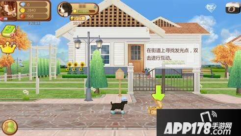 心动小狗金币获取攻略