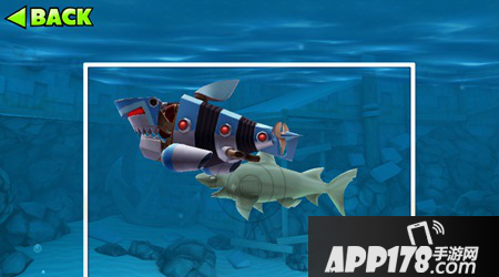 饥饿的鲨鱼进化小鲨鱼有什么用