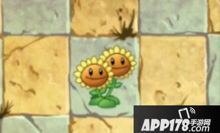 植物大战僵尸2双胞向日葵获得方法介绍 