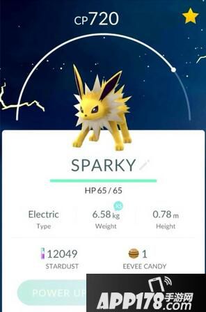 精灵宝可梦go雷精灵