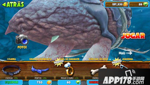 饥饿的鲨鱼进化锤头鲨属性介绍