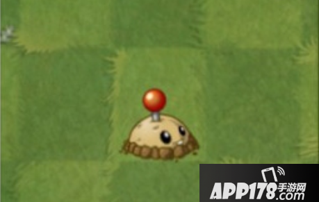 植物大战僵尸2土豆地雷属性介绍