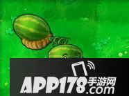 植物大战僵尸2西瓜投手属性介绍