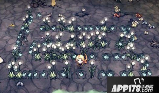 饥荒口袋版光之尘埃