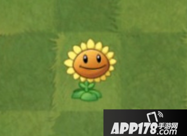 植物大战僵尸2向日葵技能介绍