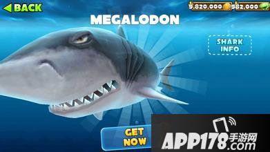 饥饿的鲨鱼进化大白鲨属性介绍