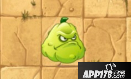 植物大战僵尸2窝瓜属性介绍