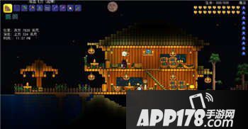 泰拉瑞亚房子设计图