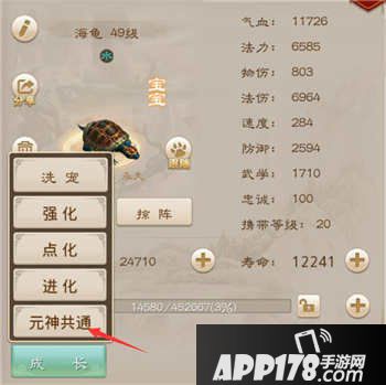 问道手游宠物元神共通