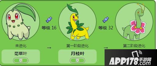 口袋妖怪go大菊花坐标位置分享