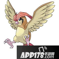 精灵宝可梦GO比比鸟图鉴