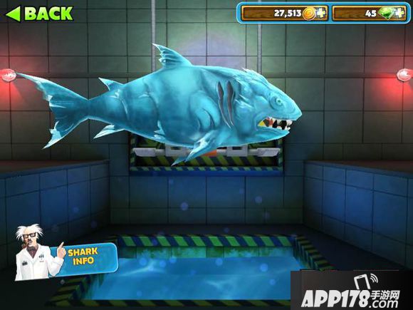 饥饿的鲨鱼进化