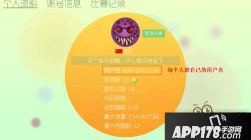 球球大作战添加好友的方法流程一览