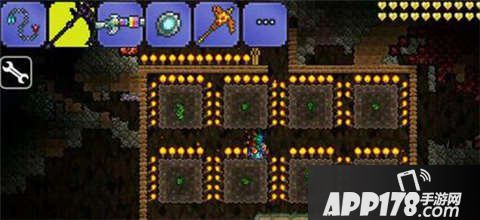 泰拉瑞亚叶绿矿种植技巧