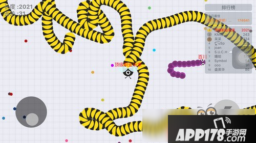 贪吃蛇大作战怎么玩 新手上路必看攻略