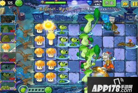 植物大战僵尸2黑暗世界第一天