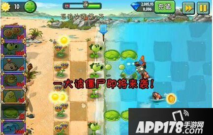 植物大战僵尸2巨浪海滩