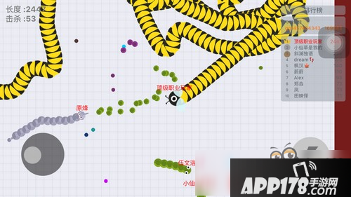 贪吃蛇大作战三千分后怎么玩 如何保住自己的小命