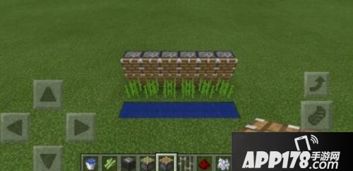我的世界观察者自动甘蔗收割机制作攻略