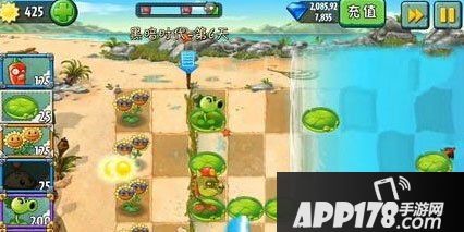植物大战僵尸2巨浪沙滩第6天