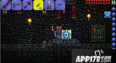 泰拉瑞亚瓶中精灵