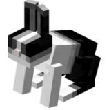 我的世界兔子驯服方法解析