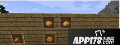 我的世界农作物资料汇总 