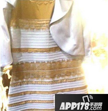 蓝黑白金拖鞋哪个视力好 白金蓝黑的拖鞋原图6